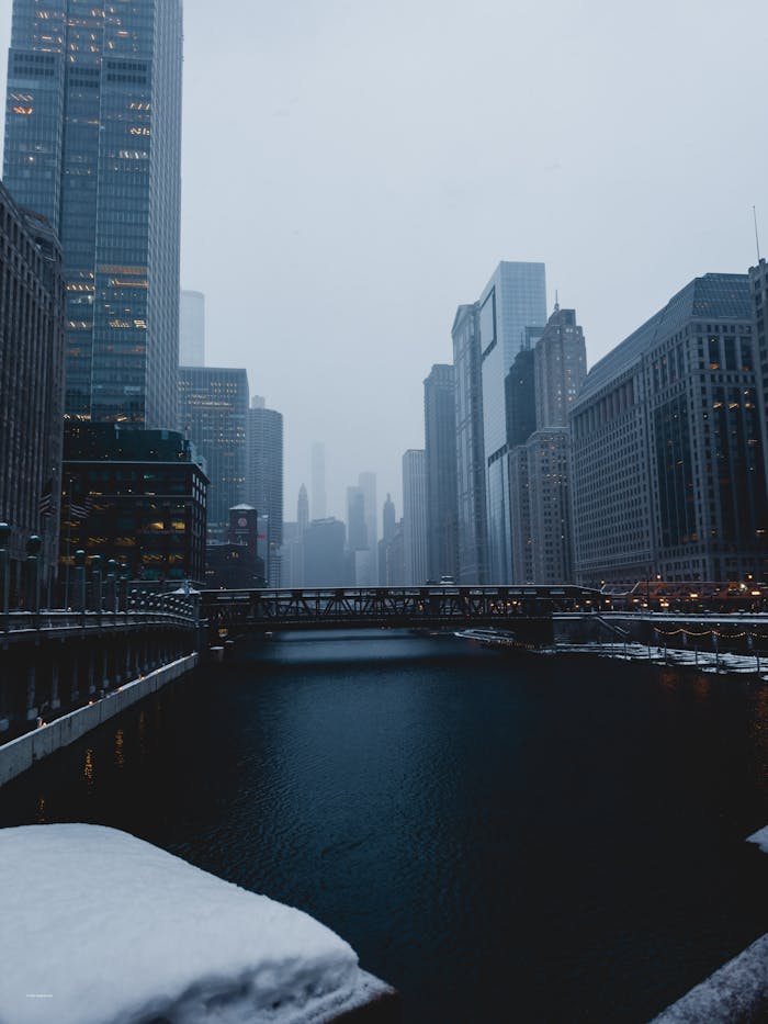 services-04 pexels-photo-35036366.jpeg